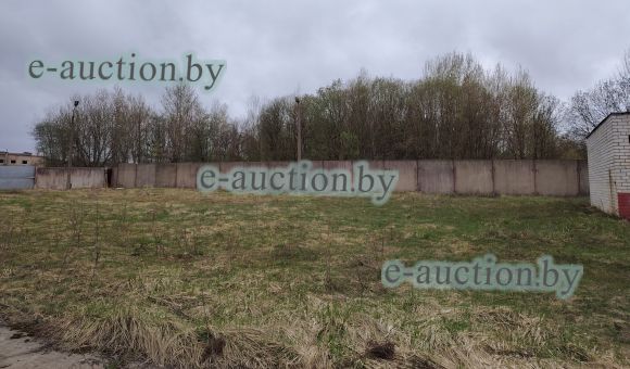 Забор в д. Гвоздово (Полоцкий район)