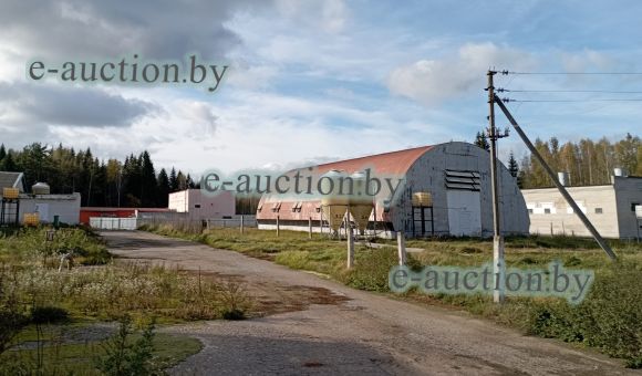 Свинокомплекс вблизи д. Мошница (Россонский район)