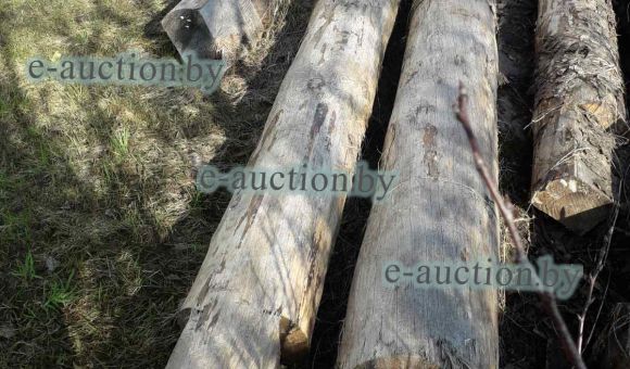 Сруб на один венец