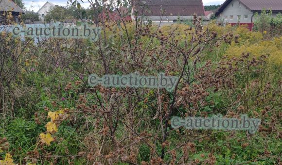 1/2 доля в праве собственности на земельный участок в СТ "Армеец-2" (Брестский район), площадью 0.0640 га