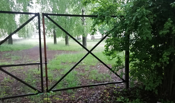 Забор в д. Головчицы