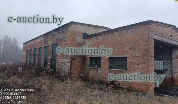 Здание механических мастерских в д. Эсьмоны (Белыничский район) площадью 450.2м²