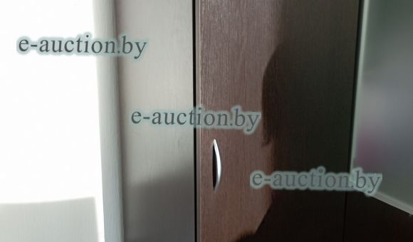 Шкаф для одежды 