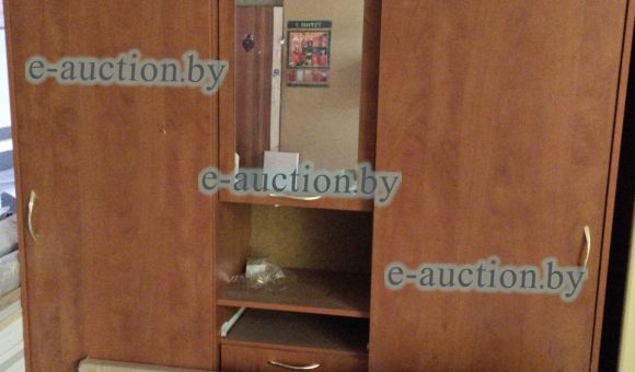 Шкаф-купе СН-109.02 №12