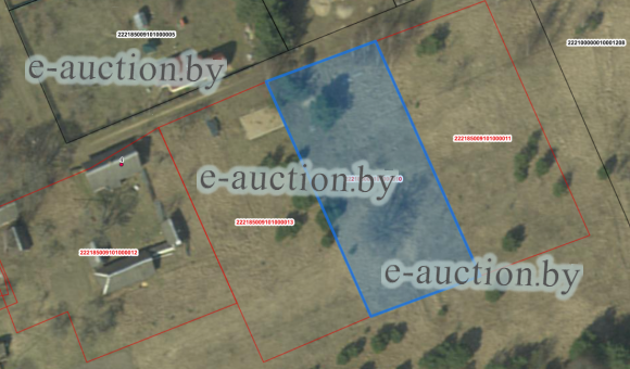 Земельный участок в д. Черничка-1 (Докшицкий район), площадью 0.1976 га