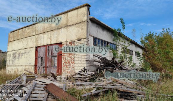 Незавершенное законсервированное капитальное строение в г. Быхове