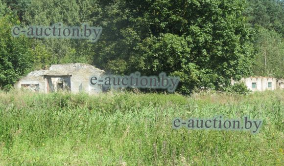 Свинарник в д. Зольки (Вилейский район), площадью 570.4м²
