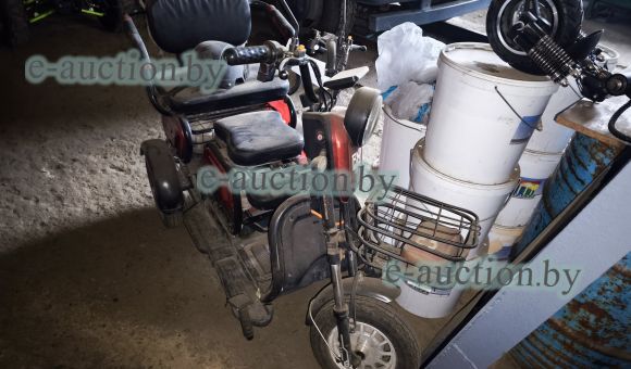 Трицикл BNP Zevs