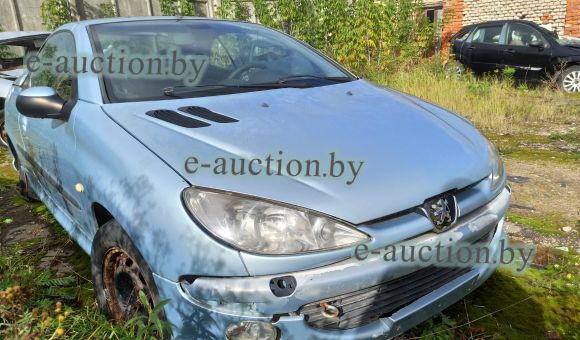 Peugeot 206, 2002