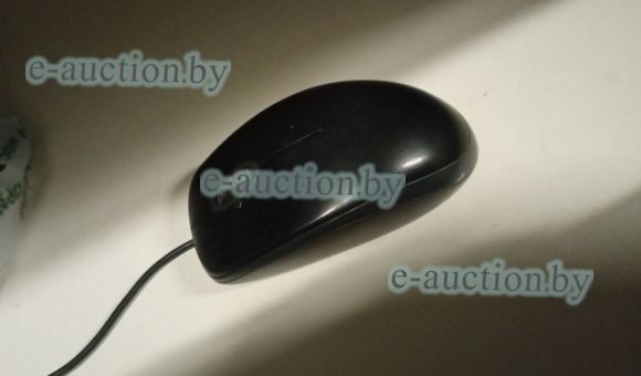 Мышь компьютерная