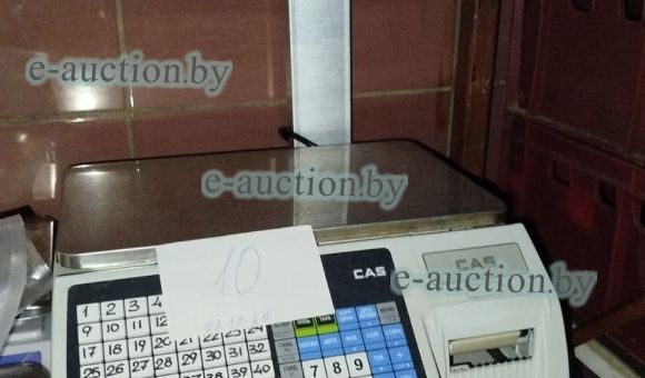 Весы CAS CL-3000-15Р