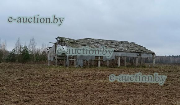 Здание сеносклада вблизи д. Лежневка (Могилевский район) площадью 291м²