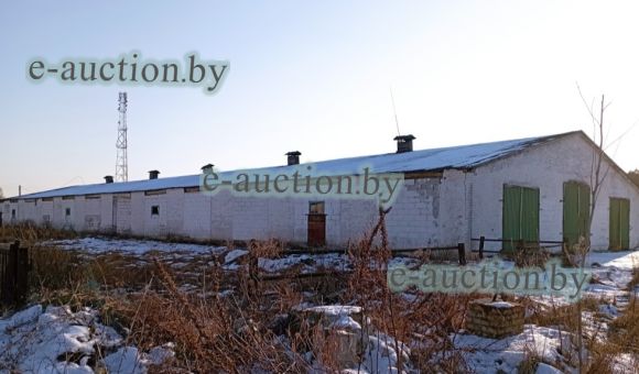 Телятник вблизи д. Сиреневка (Дрогичинский район), площадью 1466.0 м²
