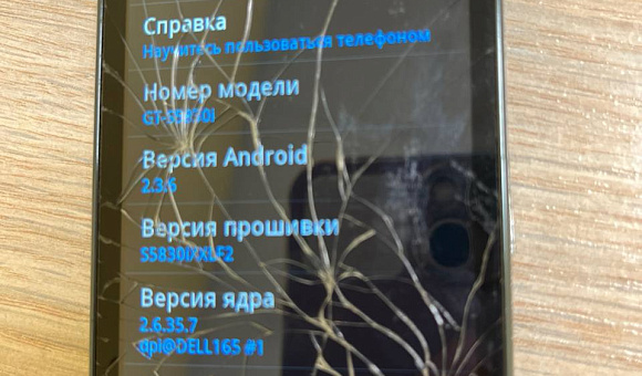 Смартфон Samsung S5830i Galaxy Acе