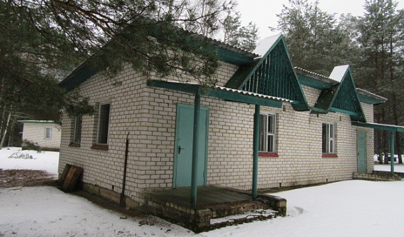 Летний домик около д. Коровчено (Быховский район) площадью 68м²
