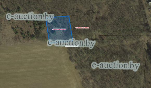 Земельный участок в д. Светлый Путь (Минский район), площадью 0.1513 га