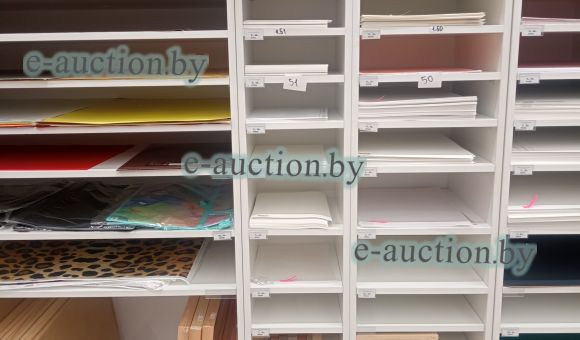 Шкаф для бумаги (стеллаж) А4 №51