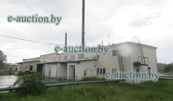 Комплекс недвижимого имущества в д. Новая Антоновка (Калинковичский район)