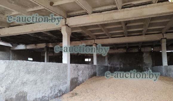 Здание зерносклада вблизи д. Кричеватка (Дрибинский район) площадью 400.4м²