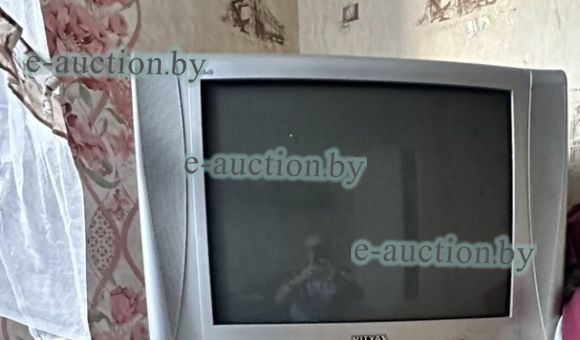 Телевизор Витязь