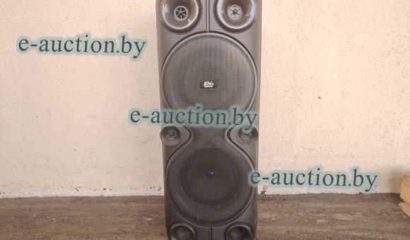 Музыкальная колонка Sing-e ZQS8238