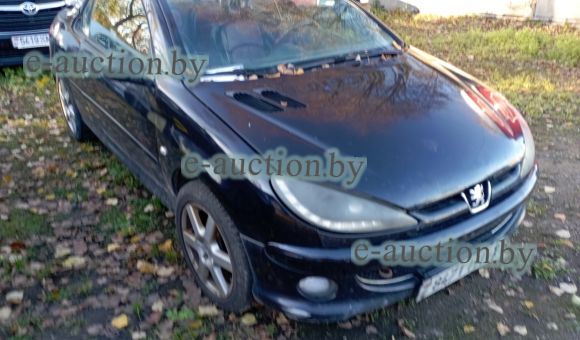 Peugeot 206, 2004