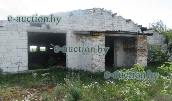 Здание свинарника в д. Зоренька (Молодечненский район), площадью 2399.2 м²