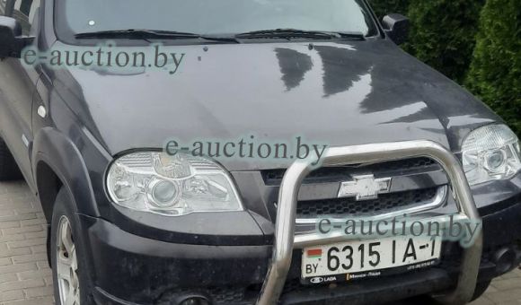 Легковой автомобиль Chevrolet Niva, 2011 