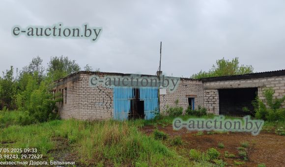 Склад пестицидов в г. Белыничи, площадью 132.3 м²