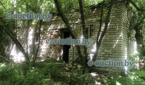 Гараж вблизи д. Селяхи (Брестский район)
