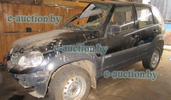 Chevrolet Niva 212300-55, 2013