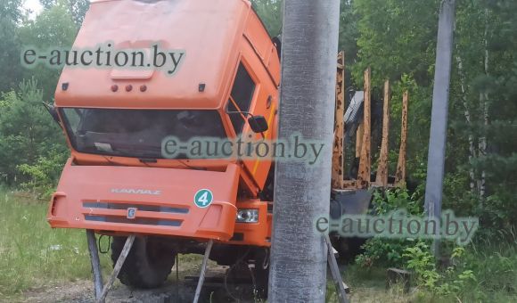 КАМАЗ 43118 А СК-18А, 2016