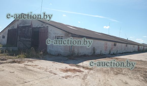 Телятник вблизи аг. Страдечь (Брестский район), площадью 1246.3м²