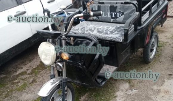 Трицикл электрический ZEVS ULTRA MINI