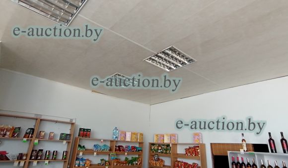 Магазин в д. Ялча (Червенский район), площадью 98.2 м²