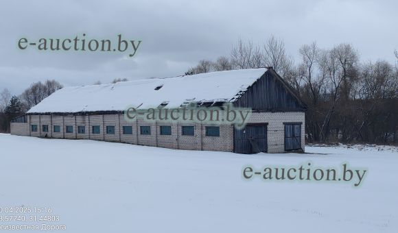 Цех под пилораму в д. Гронов (Чериковский район) площадью 350м²