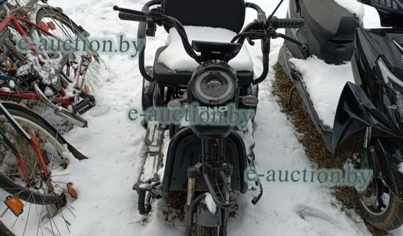 Трицикл электрический BNP Zevs 