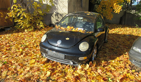 Volkswagen New Beetle, 2000