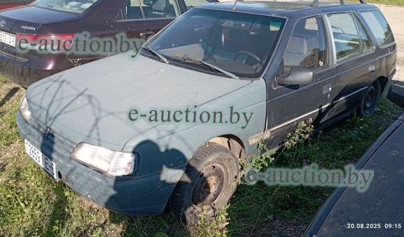 Peugeot 405, 1994