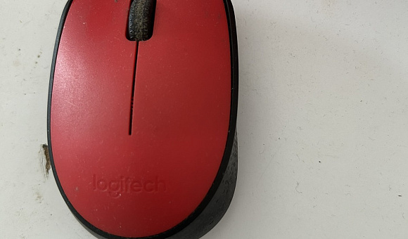 Мышь компьютерная Logitech