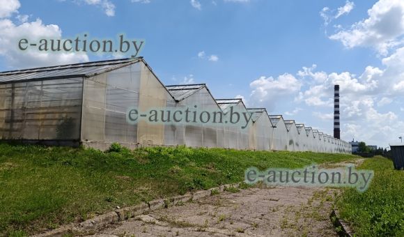 Участок теплиц в г. Гродно