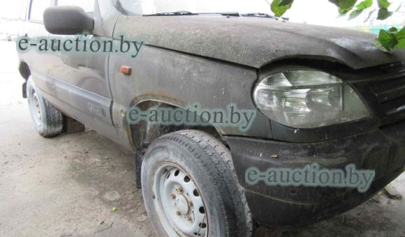 Chevrolet Niva 212300, 2008