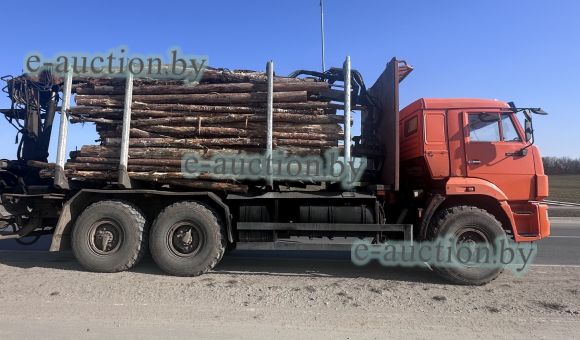 КАМАЗ 43118-3078-24, 2010