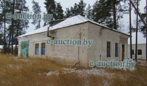 Гараж в гп. Зеленый Бор (Смолевичский район), площадью 153.2 м²