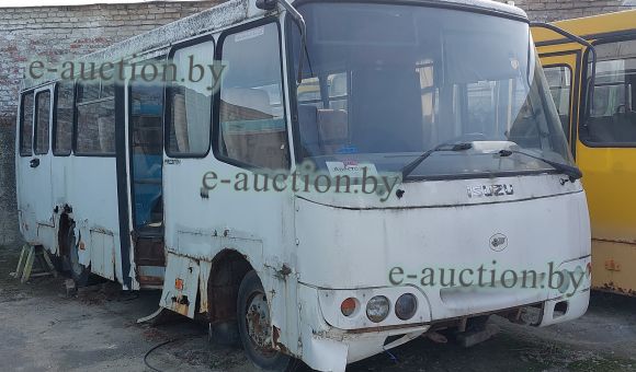 Автобус RADZIMICH A09212, 2010