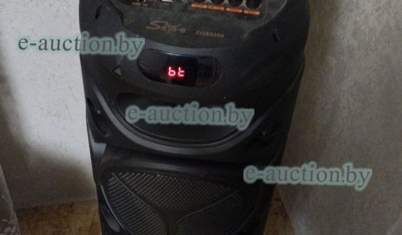 Колонка Sinc-e ZQS8308