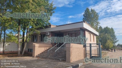 Комплекс недвижимого имущества в г. Чаусы