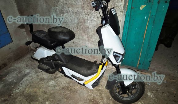 Скутер PIXEL PRO RNR