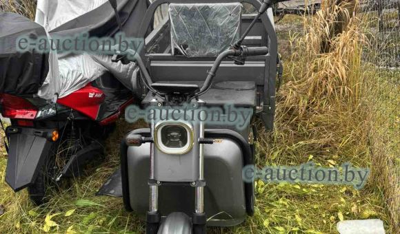 Грузовой электрический трицикл Rutrike