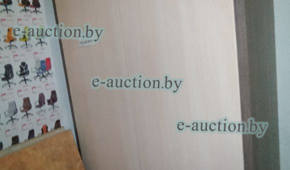 Шкаф для прихожей ШО-09-002 №1